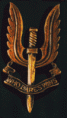 Special Air Service (SAS)